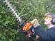 Click here for Hedge Trimming page