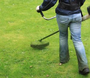 Cutting grass with strimmer